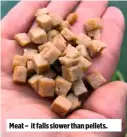  ??  ?? Meat – it falls slower than pellets.