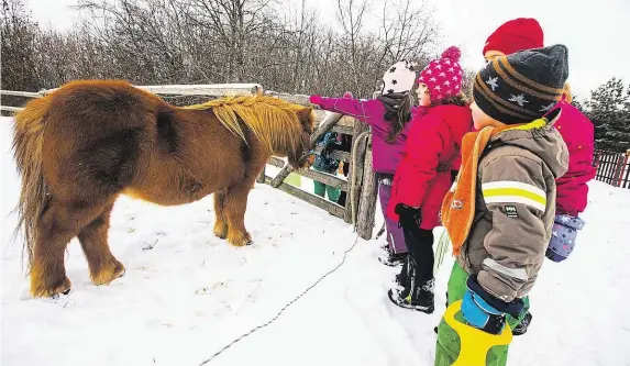  ?? Nejraději mají děti z lesní školky poníka Magdu. Jsou tu ale i kozy, ovce, králíci nebo slepice. FOTO MAFRA – DAN MATERNA ?? Život na farmě.