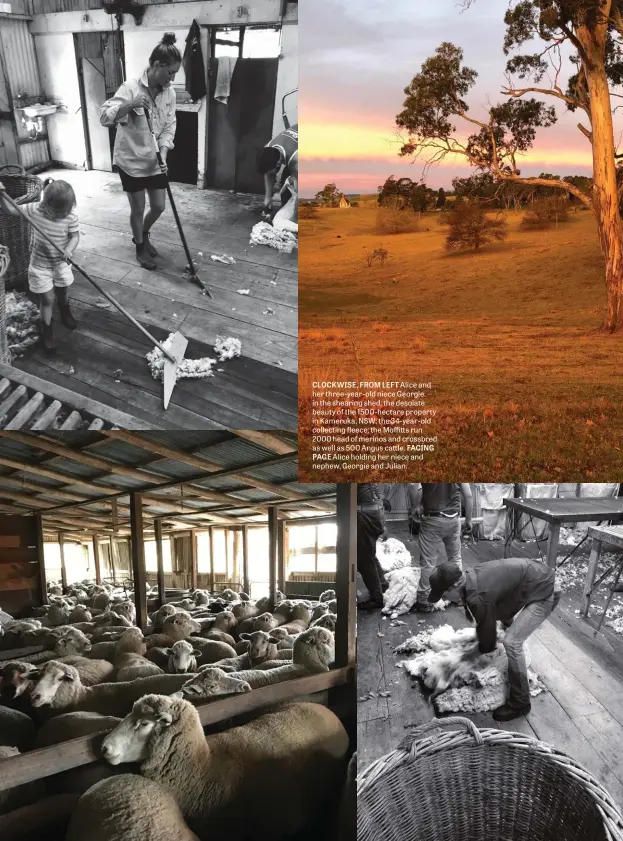  ??  ?? CLOCKWISE, FROM LEFT Alice and her three-year-old niece Georgie in the shearing shed; the desolate beauty of the 1500-hectare property in Kameruka, NSW; the 34-year-old collecting fleece; the Moffitts run 2000 head of merinos and crossbred as well as 500 Angus cattle. FACING PAGE Alice holding her niece and nephew, Georgie and Julian.