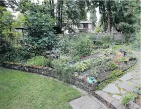  ??  ?? Right: The back garden rises almost three metres from the front and features a screened summerhous­e.