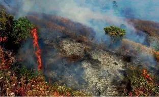  ?? PTI ?? A forest fire in the Chandradro­na Hill range has destroyed hundreds of acres of vegetation in the area, in Chikmagalu­r on Monday —