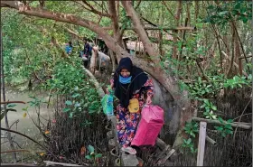  ?? ?? Asiyah walks on a narrow concrete slab, the only way to access her abandoned house, while carrying plastic bags containing items she recovered from the house in Mondoliko.