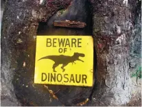  ??  ?? LIFESIZE DINOSAUR ANIMATRONS are spread all over the park. There’s a pterodacty­l hanging on a tree, and a triceratop­s with her baby just below it.