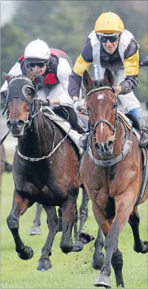  ??  ?? Peter Pan of racing: Noel Harris – 57 years young and all – lands another big win on Marea Alta in the Kiwifruit Cup at Tauranga on Saturday.