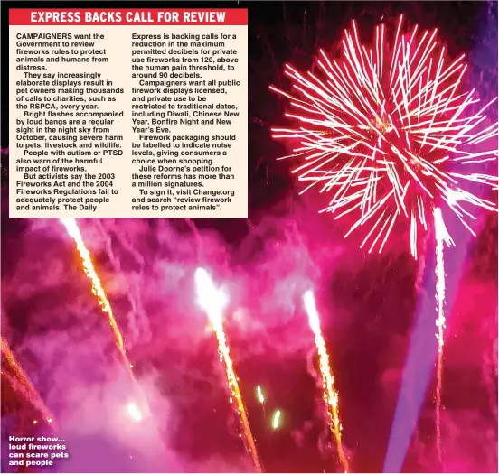  ?? ?? Horror show... loud fireworks can scare pets and people