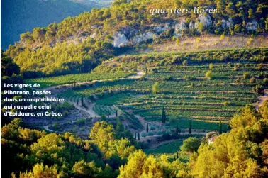  ??  ?? Les vignes de Pibarnon, posées dans un amphithéât­re qui rappelle celui d’Epidaure, en Grèce.