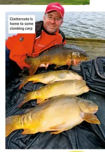  ??  ?? Clattercot­e is home to some clonking carp
