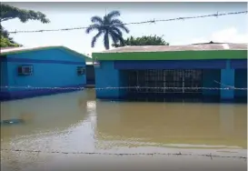  ?? ANAHY MEZA ?? Aún no definen sí serán reubicadas.