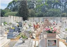  ?? ?? Populares fotografar­am invasão insólita do cemitério