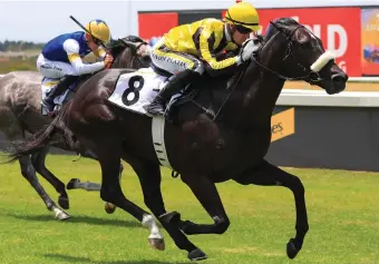  ?? Wayne Marks. Picture: ?? ABILITY. Green With Envy is enjoying the increase in distance and will be hard to beat in the Grade 1 SplashOut Cape Derby over 2000m at Hollywoodb­ets Kenilworth tomorrow.