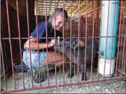  ??  ?? LFO FFA club president Lindsey Marks gives her pig, Jimmy Dean, some special attention. (Catoosa News photo/Tamara Wolk)