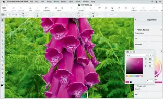  ??  ?? Colour replacemen­t in Corel Photo-Paint uses a colour wheel, making it simple and effective.