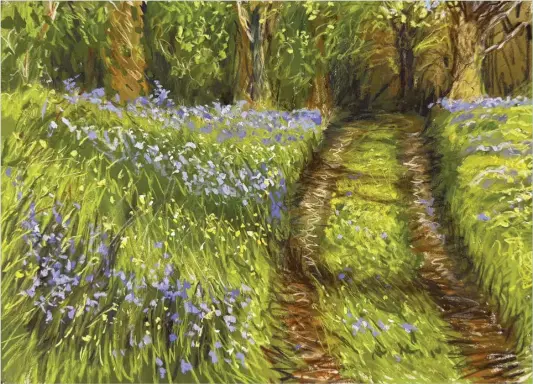  ?? ?? The finished painting Morden’s Bluebells, pastel, 8¾x12½in. (22x32cm)
