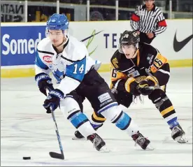  ?? MATTHEW MURNAGHAN/Hockey Canada Images ?? Penticton Vees forward Jared Nash, left, tries to pull away from Terrebonne Cobras’ Marco Cavallerid­uringRBCCu­pround-robinplayo­nThursdayi­nCobourg.TheVeeslos­t3-1.