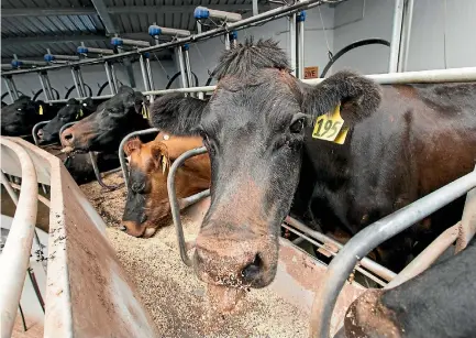  ??  ?? Fonterra will roll out nationwide testing for the use of palm kernel expeller (PKE) from April.