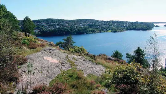  ?? FOTO: KJETIL REITE ?? Når Ringknuten dumpes i Topdalsfjo­rden og strømninge­ne i fjorden endres, hvordan går det da med alle fagre forsikring­er i partiprogr­ammene, spør kronikkfor­fatteren.