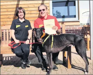  ??  ?? ■ Geoff Coles is pictured with his namesake Greyhound Jeff along with Ria Martin, volunteer co-ordinator.