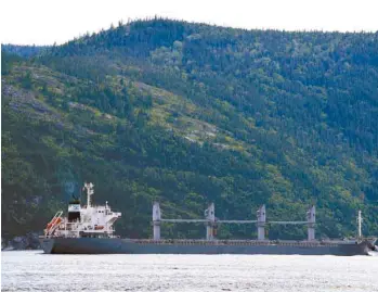  ?? ALEXANDRE SHIELDS ?? Plus de 225 navires commerciau­x remontent chaque année le Saguenay en traversant le parc marin. Le quai à construire pour le projet Arianne Phosphate ajouterait 140 de ces navires.