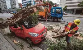  ??  ?? Kakitangan majlis perbandara­n membantu mengalih pokok yang menghempap kenderaan selepas kejadian ribut dan banjir di Taipei, semalam.