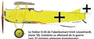  ?? DAVID MÉCHIN ?? Le Fokker D.VII de l’oberleutna­nt Erich Löwenhardt, (Jasta 10), troisième as allemand de la guerre avec 57 victoires aériennes homologuée­s.