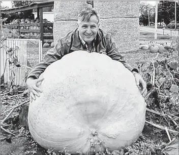  ?? GUARDIAN FILE PHOTO ?? Glenn Holmes, bulb manager with Vesey’s Seeds, is shown last year next to one of the giant pumpkins that was entered into the 2017 Giant Pumpkin and Squash Weigh Off. The weigh-in for the 25th annual event is set for Saturday, 10 a.m. to 2 p.m.
