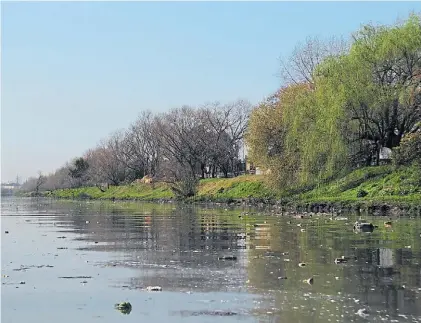  ?? EMILIANA MIGUELEZ ?? Riachuelo. El cuerpo de supervisió­n de ACUMAR asegura que no mejoró la calidad del agua.