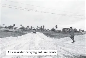  ?? ?? An excavator carrying out land work