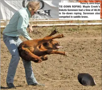  ?? Photos by Jamie Rieger ?? TIE- DOWN ROPING: Maple Creek's Dakota Sorensen had a time of 48.35 in tie- down roping. Sorensen also competed in saddle bronc.