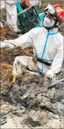  ?? ?? Teng Xingwen’s legs sink deep in the mud while participat­ing in the search and rescue operation at the crash site of flight MU5735 in Tengxian county, Guangxi Zhuang autonomous region, in March.