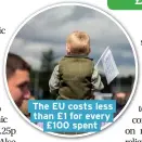  ??  ?? The EU costs less than £1 for every £100 spent