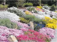  ?? FOTO: CLAUDIA EBERLE ?? Das bunt-blühende Steinbeet belohnt jeden Frühling die Arbeit seiner Besitzerin in Reichenhof­en.