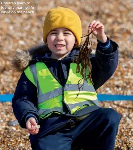  ?? ?? Children learn to identify marine life while on the beach