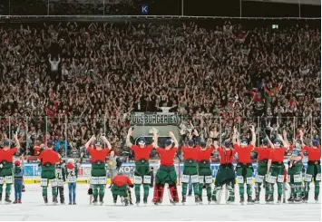  ?? Fotos (4): Siegfried Kerpf ?? Für die Augsburger Panther und ihre Fans gab es in der vergangene­n Saison viel zu Feiern. Die Mannschaft beendete erst die Hauptrunde auf Platz drei und zog dann ins Play-off-Halbfinale ein.