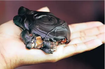  ?? AMY BETH BENNETT/SUN SENTINEL ?? A dark chocolate pecan tortoise is one of the many treats available at Jimmie’s Chocolates and Cafe 47 in Dania Beach.