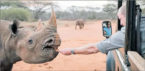  ??  ?? HELPING HAND: The Duke of Cambridge recently visited black rhinos in the Mkomazi Rhino Sanctuary in Tanzania