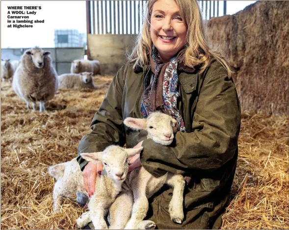  ?? Picture: JONATHAN BUCKMASTER ?? WHERE THERE’S A WOOL: Lady Carnarvon in a lambing shed at Highclere