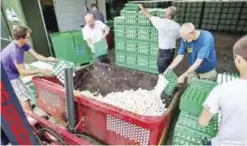  ??  ?? NETHERLAND­S: Farmers dispose of eggs at a poultry farm in Onstwedde, Netherland­s. —AFP