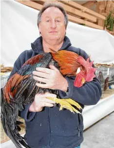  ?? Foto: Hans Honold ?? Züchter Johann Waldmann vom Geflügelzu­chtverein Memmingen erhielt für seinen Hahn der Rasse „Italiener Rebhuhnhal­sig“die Höchstnote.