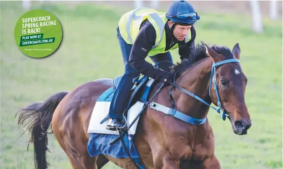  ?? T&Cs apply. ACT Permit No. TP 21/01484 ?? SUPERCOACH SPRING RACING IS BACK!
Brett Prebble aboard Incentivis­e during trackwork at Caulfield Racecourse on Monday in Caulfield. Picture: George Salpigtidi­s/Getty Images