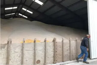  ?? REUTERS ?? ERIC HONSELMAN opens a shed which holds 75,000 bushels of corn he was forced to store after his regular bins were filled to capacity with corn and soybeans on the family farm in Casey, Illinois on Oct. 25.