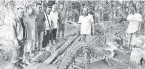  ??  ?? BUAYA yang berjaya dipancing oleh Sarbini ditarik ke darat sementara menunggu ketibaan pihak SFC.