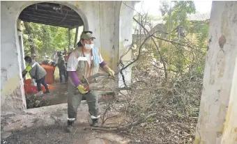  ??  ?? Funcionari­os de la Municipali­dad de Asunción tuvieron que lidiar con el fétido olor de los desperdici­os acumulados en la vivienda allanada ayer, para poder retirar las malezas.