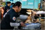  ?? ?? This photo shows handlers and their dogs taking part in a search and rescue program in Taguig, metro Manila.