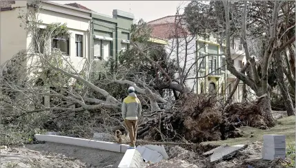  ??  ?? Figueira da Foz foi um dos concelhos mais atingidos pela tempestade ‘Leslie’, que destruiu casas e derrubou árvores