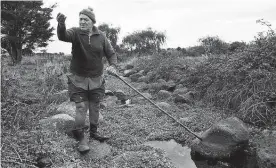  ?? Picture / NZME ?? Local iwi believe the Poroti Springs have healing powers and they are bound to protect the mauri (life-force).