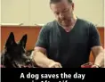  ??  ?? A dog saves the day in After Life.