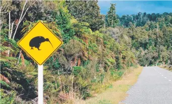  ??  ?? Watch out for kiwis on these roads