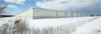  ?? JULIE JOCSAK/ STANDARD STAFF ?? A greenhouse is pictured in Niagara- on- the- Lake Monday. In Wainfleet, the structures could fall under a new building permit class.