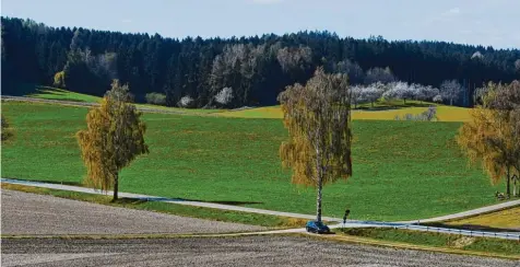  ?? Fotos: Marcus Merk, Andreas Alt ?? Auf dieser landwirtsc­haftlichen Fläche am östlichen Ortsende von Lützelburg will ein Investor eine Photovolta­ikanlage errichten.