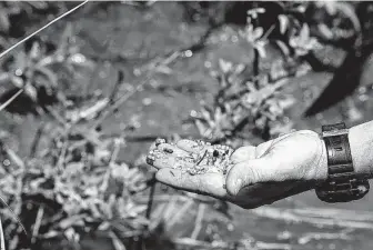  ?? Jerry Lara / Staff photograph­er ?? Formosa Plastic agreed to support the Matagorda Bay Mitigation Trust to promote environmen­tal sustainabi­lity projects, including one that would remove plastic pellets found along area waterways.